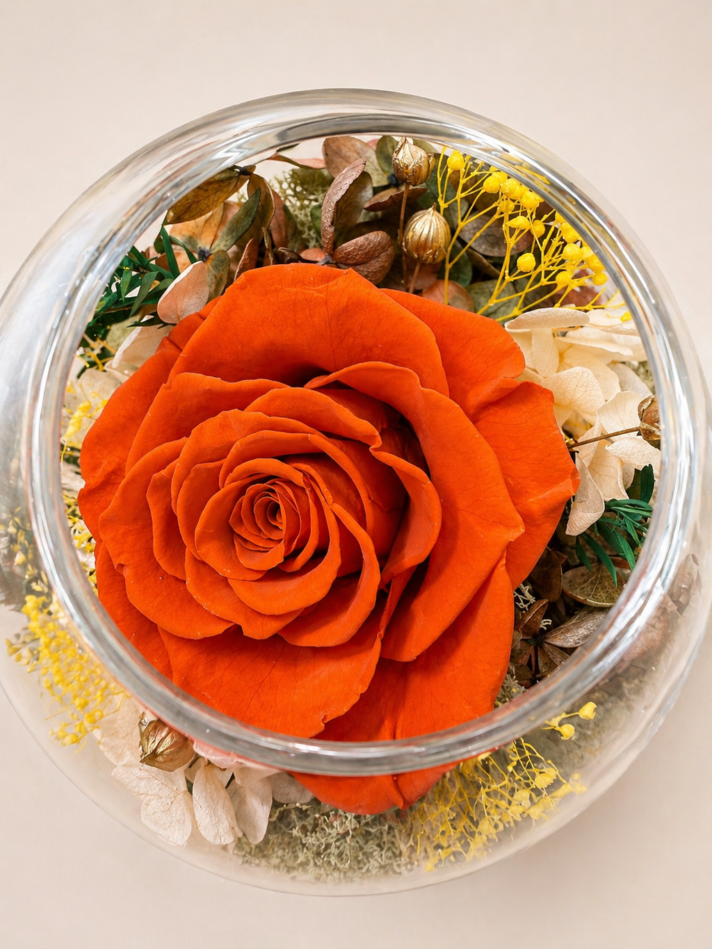 The Neciflora 'Dome' Collection