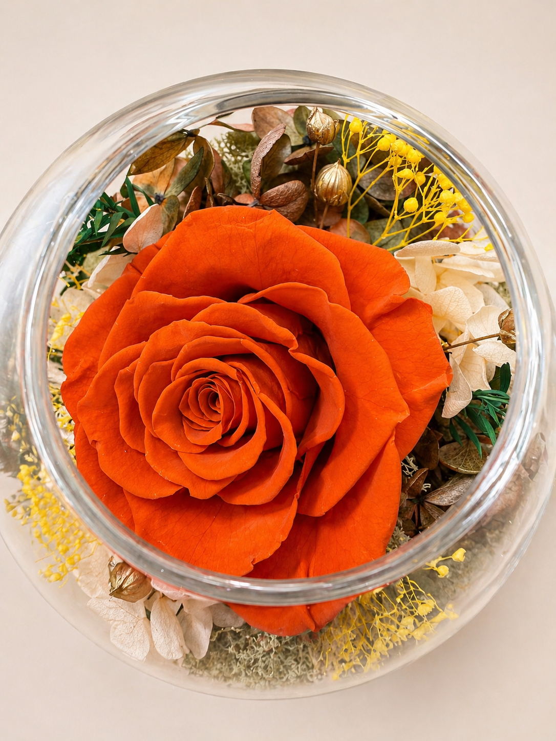The Neciflora 'Dome' Collection