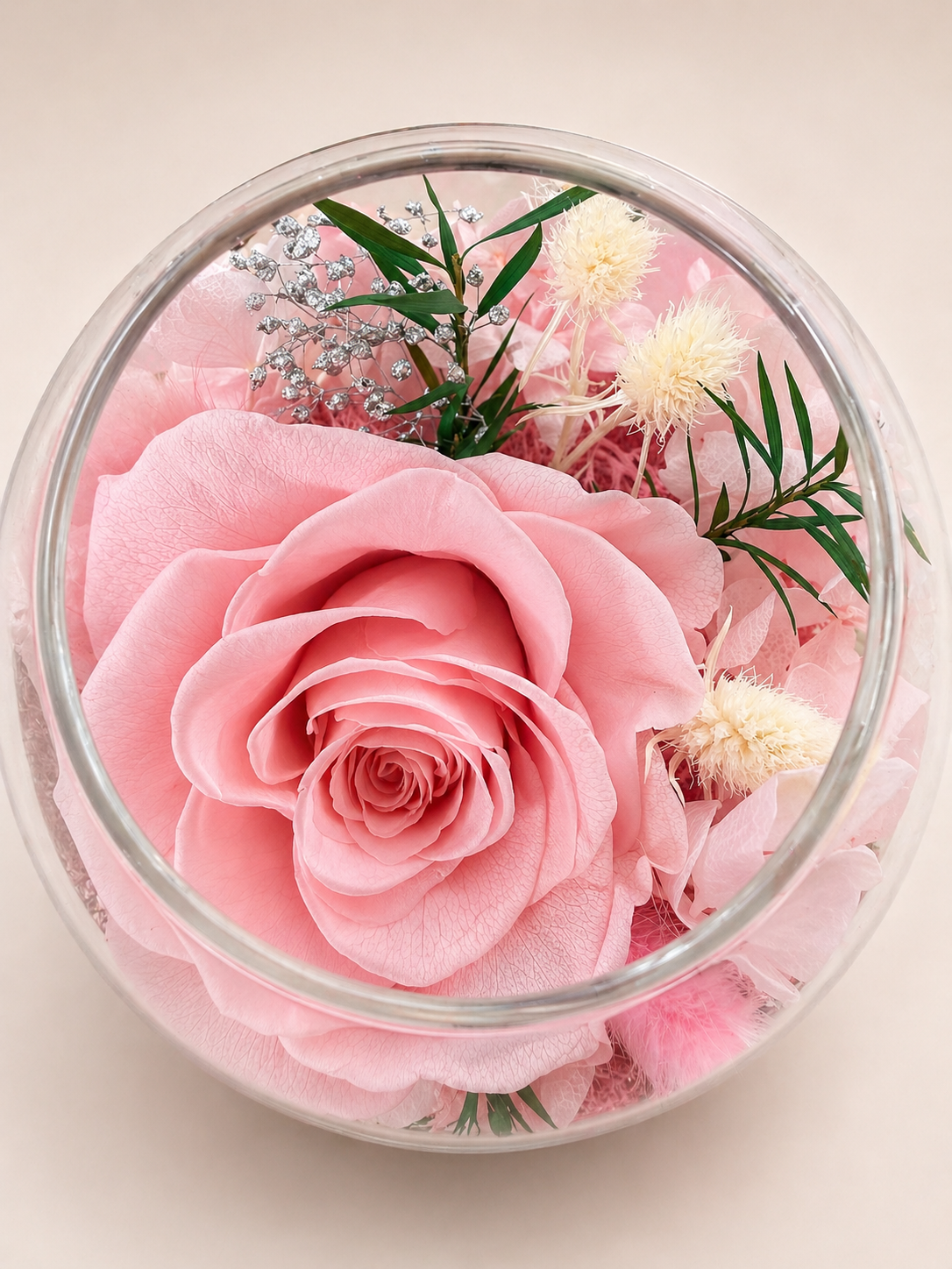 The Neciflora 'Dome' Collection