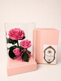 The Neciflora 'Vitrine' Collection