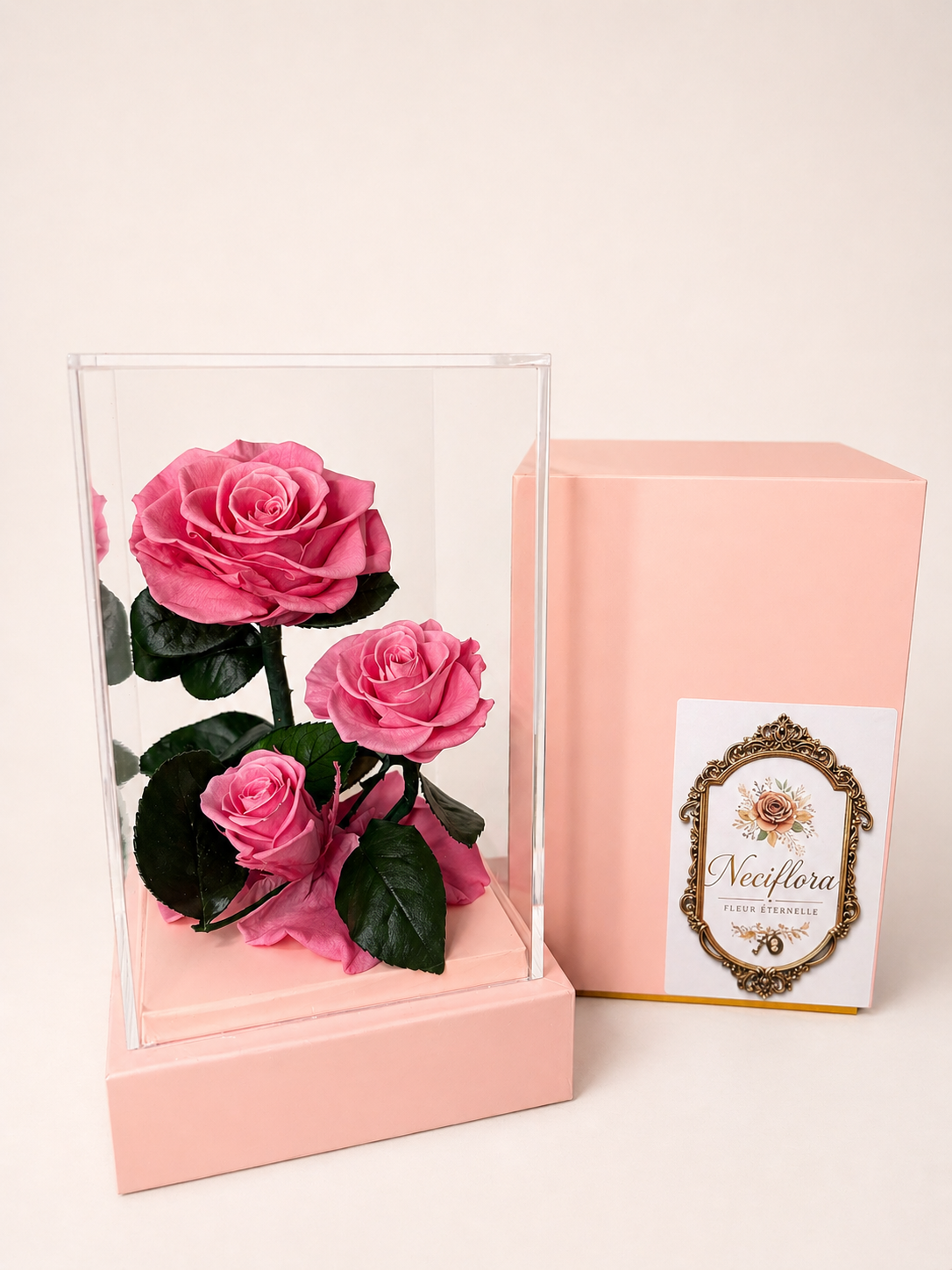 The Neciflora 'Vitrine' Collection