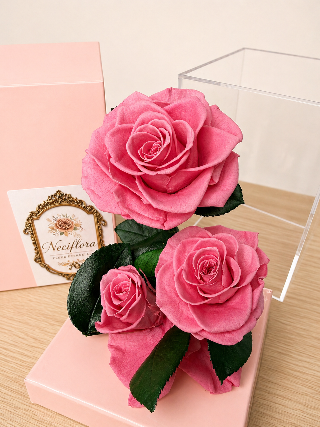 The Neciflora 'Vitrine' Collection