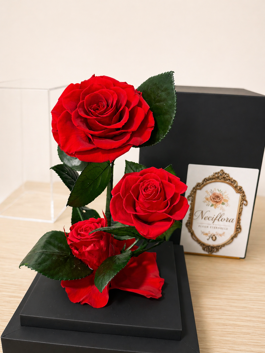 The Neciflora 'Vitrine' Collection