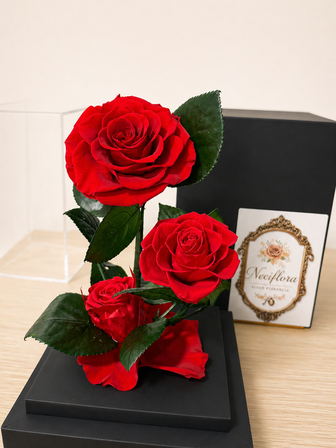 The Neciflora 'Vitrine' Collection