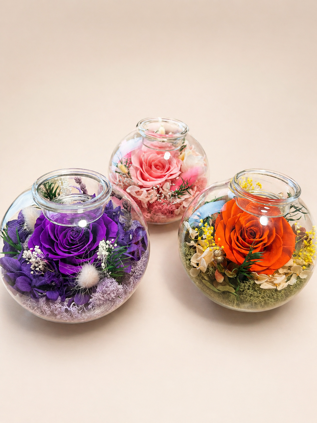 The Neciflora 'Dome' Collection
