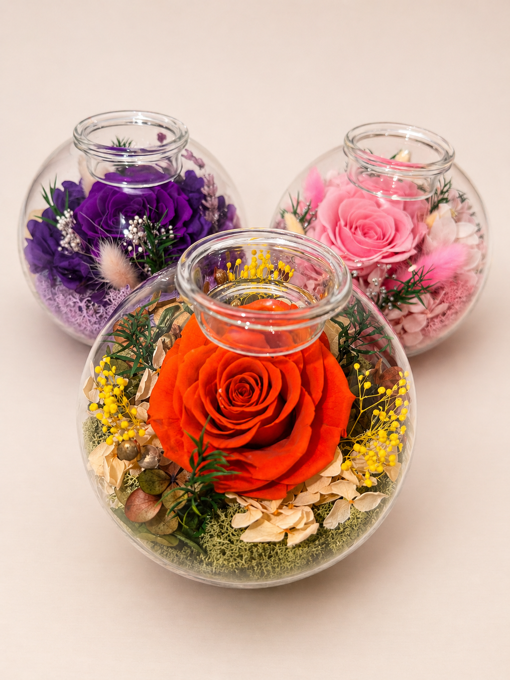 The Neciflora 'Dome' Collection