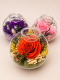 The Neciflora 'Dome' Collection